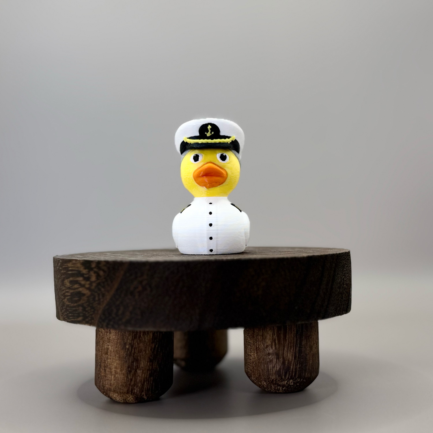 Captain Duck